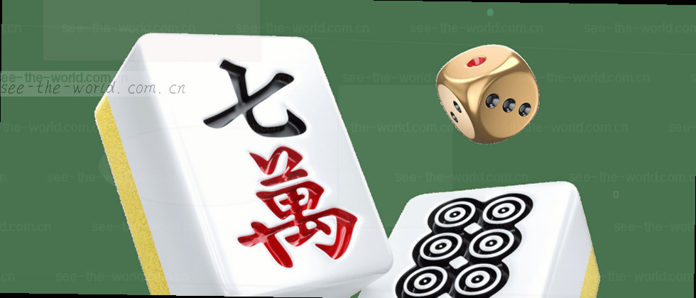 隐私政策与数据保护说明